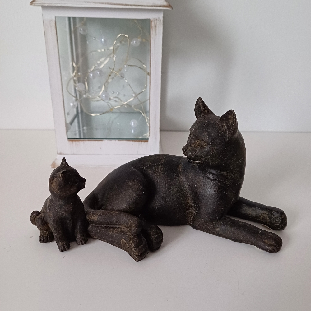 Cute Black Cat Mom And Kitten Baby